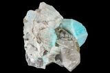 Amazonite Crystal Cluster with Smoky Quartz - Colorado #168084-1